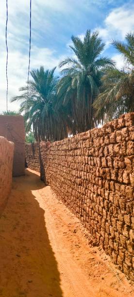 istock The red oasis Timimoun in Algeria 2023308485