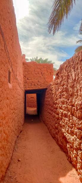 istock The red oasis Timimoun in Algeria 2023308514