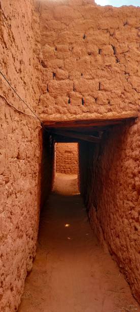 istock The red oasis Timimoun in Algeria 2023309544