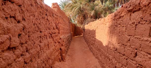 istock The red oasis Timimoun in Algeria 2023309656