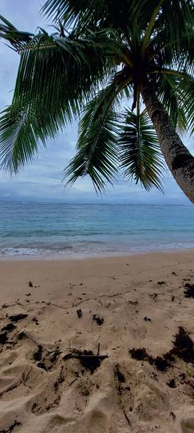 istock A time for relaxation at the beach 2023310655