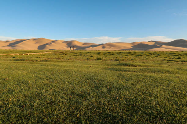 Oasis in the Gobi Desert