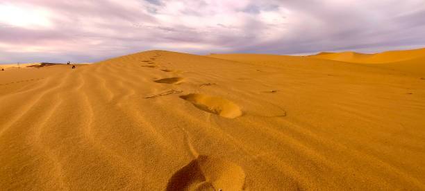 istock The red oasis Timimoun 2023336967