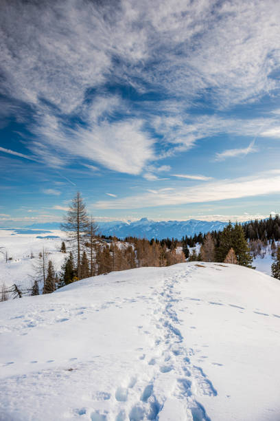 istock Snowy Mountain in Austria 2023346343