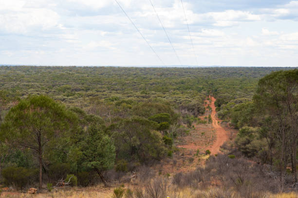 istock Bushland scenery in outback NSW, Australia 2023359909