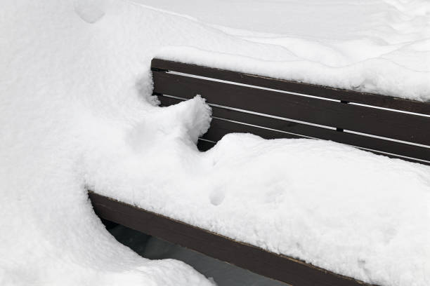 Beautiful snowy scene
