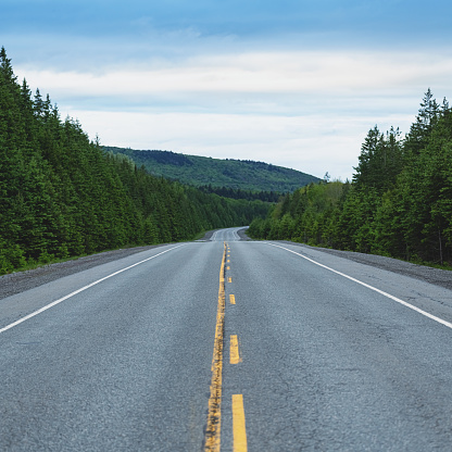 Wilderness highway curves into the distance.