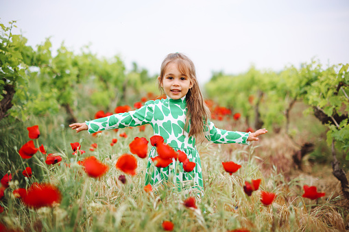 Two years old girl smelling a red poppy in a field full of wildflowers.