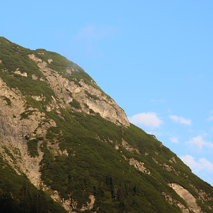 Mountain with many trees and blue sky