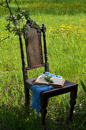 An open book on a chair in the garden under a blooming apple tree, a green lawn, a bouquet of forget-me-nots on a book, an antique chair, reading books, a day off in the country, background.
