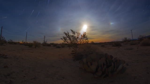 Desert Star Trails Moon Rise Cactus Night Sky 4k