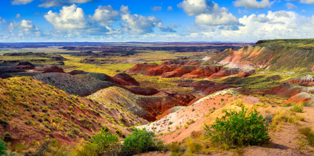 istock Nizhoni Point at Painted Desert National Park 2023422192