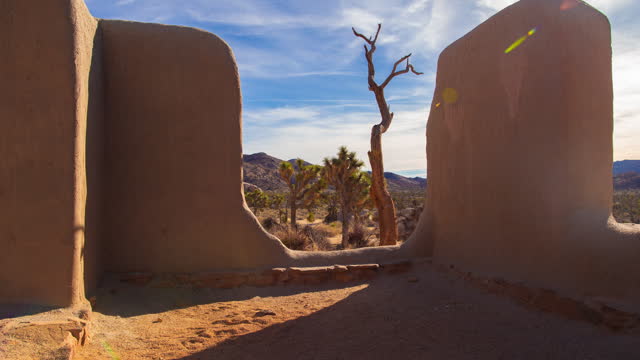 Joshua Tree Park Desert Abandoned Homestead Dead Tree Day Shadows Timelapse