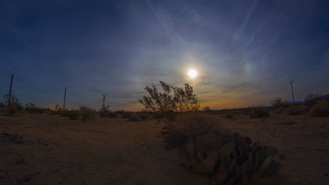 Desert Moon Cactus Night Stars Timelapse 4k