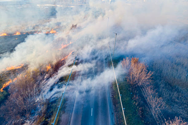 dead wood fire filmed from a quadcopter in the spring at sunset