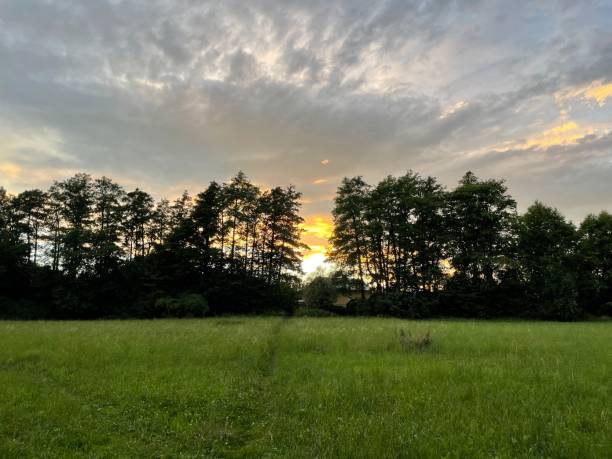 istock Sunset in a field with grass and footpath. 2023473319