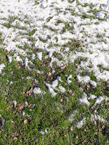 Melting snow on green grass close up. Conceptual photo of spring going after winter. Thaw, melting snow. Melting snow on a green lawn. Snowy lawn. Conceptual image about spring. Background with copy space. Between winter and spring. Global Warming Concept. Top view.