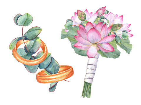 Wedding golden rings decorated eucalyptus. Engagement rings. Wedding bouquet with white pink lotuses and eucalyptus. Lovely boutonniere with white satin ribbon. Watercolor illustration.