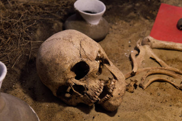 istock Old human skull in ancient tomb at archaeological excavation 2023548192