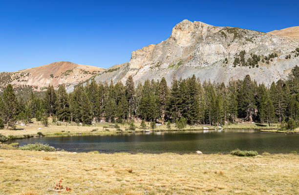 istock Sierra Nevada Landscape Yosemite National Park 2023552032