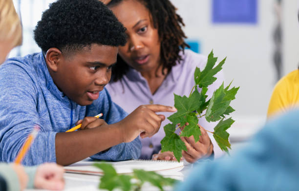 Boy examining plant with middle school science teacher