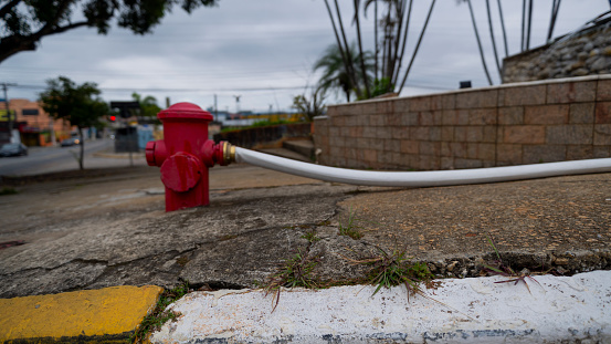 Hydrant with hose connected and stretched