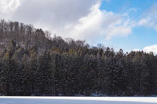 Panorama of a northern Minnesota lake and shore with pines and birch on a sunny winter day