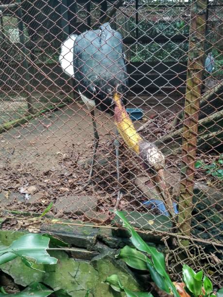 istock birds and atmosphere in the zoo 2023621368