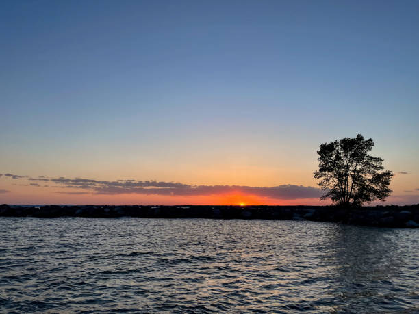istock Beautiful sunset over the lake with a tree silhouette in the foreground. 2023665712