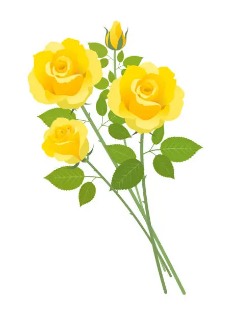 Vector illustration of bouquet of yellow roses
