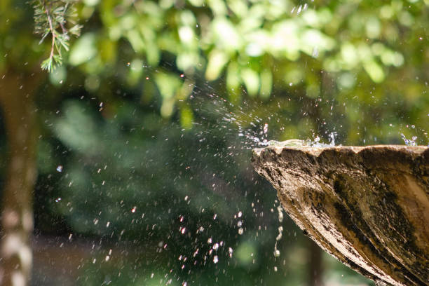 Pigeons refreshing in stone fountain