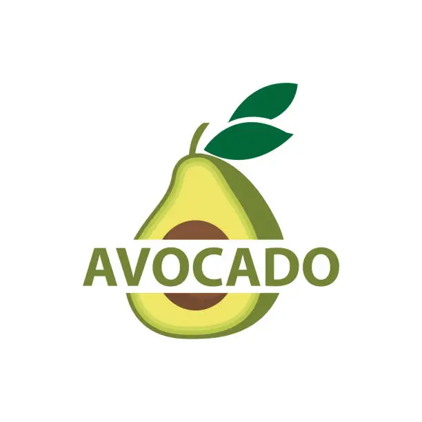 Vector illustration of fresh avocado garden avocado logo illustration design simple template product branding