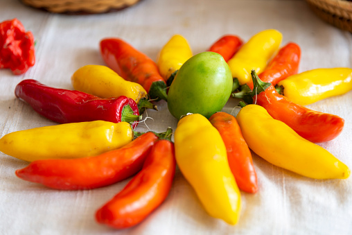 Basket filled with fresh organic vegetables.