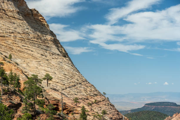 Treeline Side Profile View Of Northgate Peaks In Zion National Park