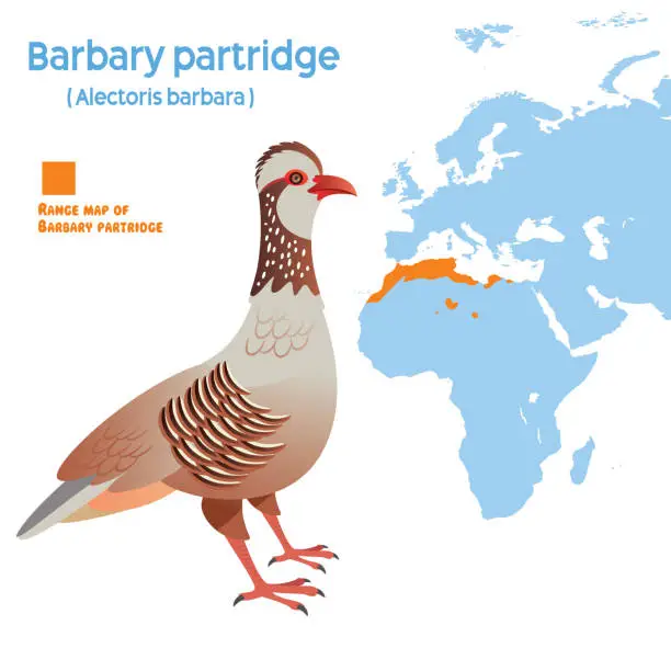 Vector illustration of Barbary Partridge Habitat Map