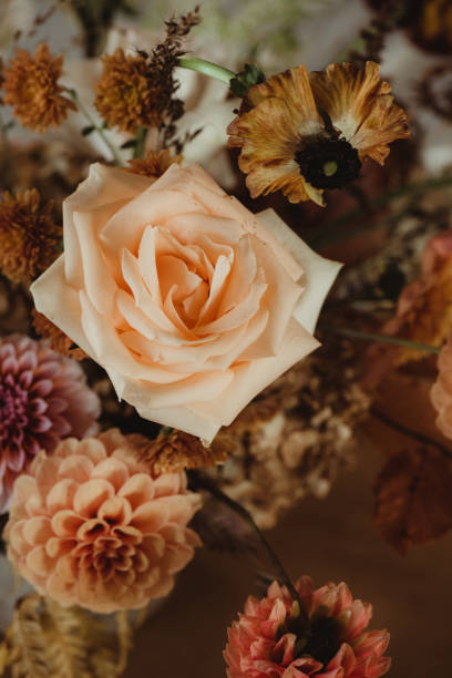 istock Background image of earth tones wedding flowers 2024067388