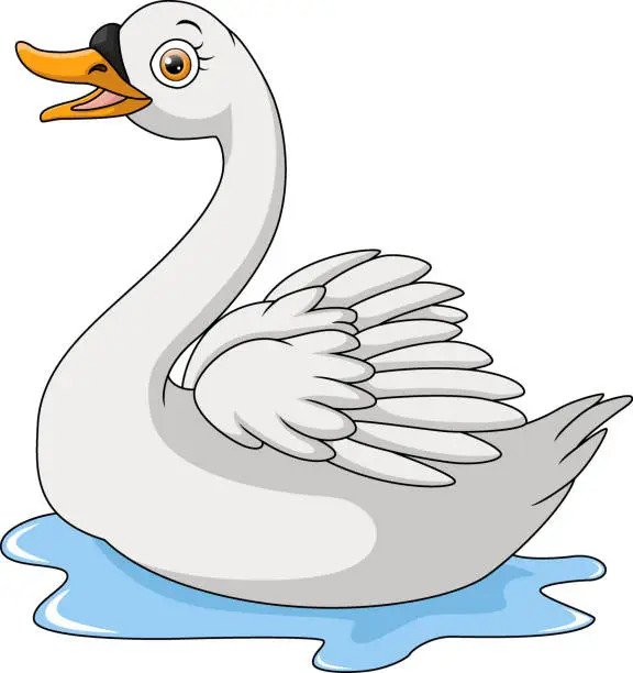 Vector illustration of Cute swan cartoon on white background