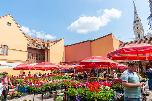 Zagreb Croatia - May 23 2011; Dolac Flower market outdoors with red and white stall holder umbrellas.