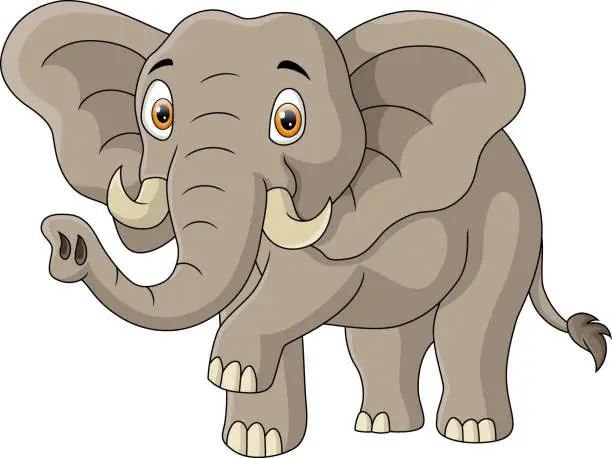 Vector illustration of Cute elephant cartoon on white background
