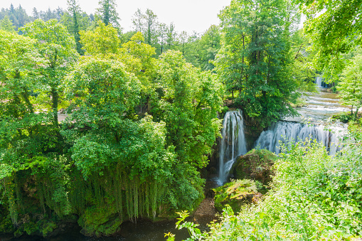 Luxuriant trees and forest in Waterfall village or Rastoke in Croatia