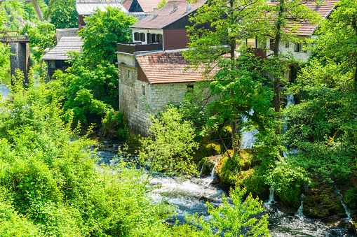 Luxuriant trees and forest in Waterfall village or Rastoke in Croatia
