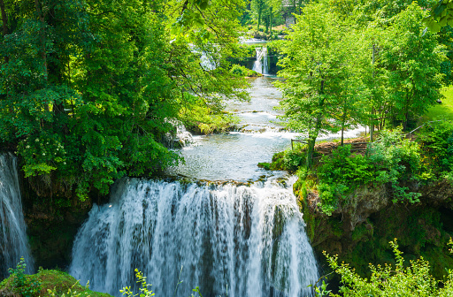 Luxuriant trees and forest in Waterfall village or Rastoke in Croatia