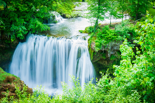 Luxuriant trees and forest in Waterfall village or Rastoke in Croatia