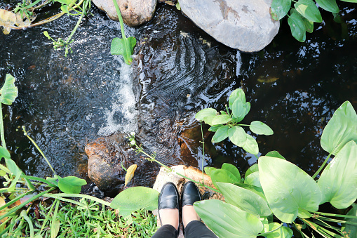 river or waterfall and tree in the garden or small river or someone is standing near the river