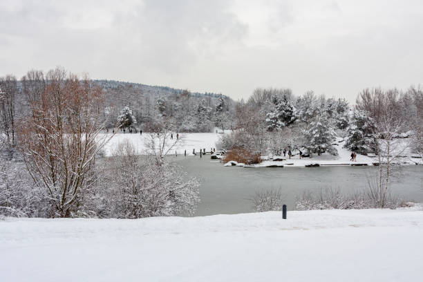 istock Snow covered public park in Zurich, Switzerland 2024259494