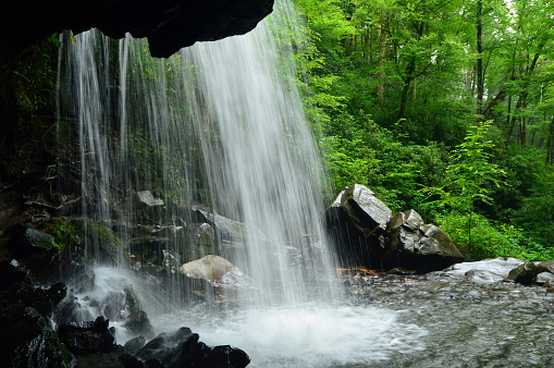 A waterfall cascades over a hiking trail in the forest of the Great Smokey Mountains National Park