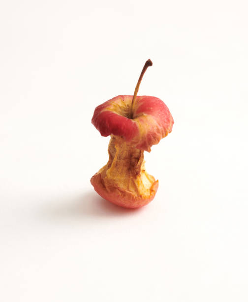 A fly is eating a discarded fruit red apple core. The apple is laying on pebble.