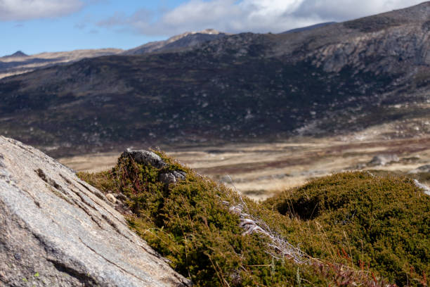 istock Kosciuszko National Park, Australia, 2024376379