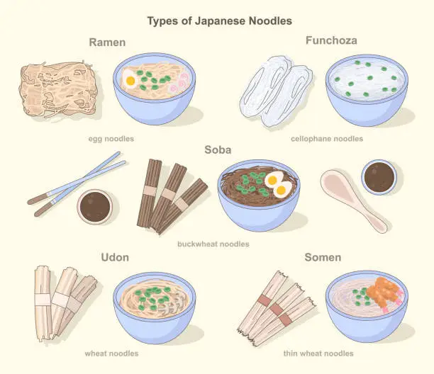 Vector illustration of Asian noodles types set. Traditional japanese unprepared food and dishes