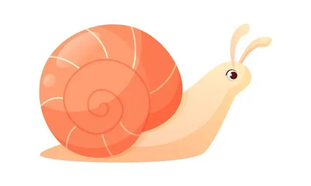 Vector illustration of A cheerful cartoon red snail crawls. Vector illustration on a white background.